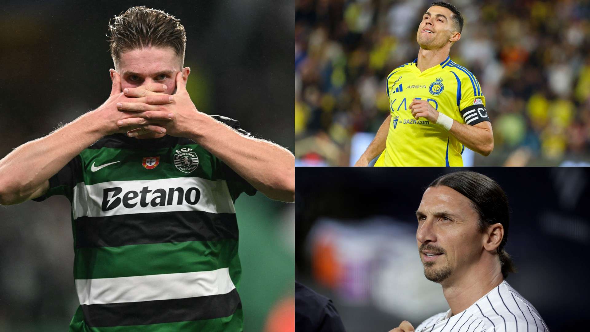 的小因扎吉 的小因扎吉