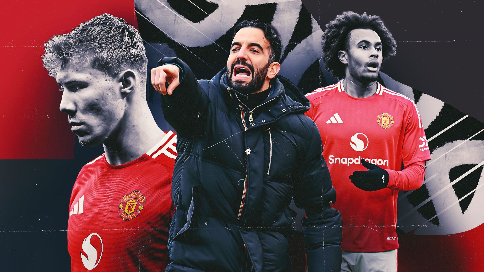 厚實力的象 厚實力的象